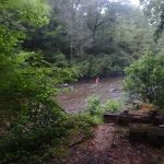 Nichols Campground