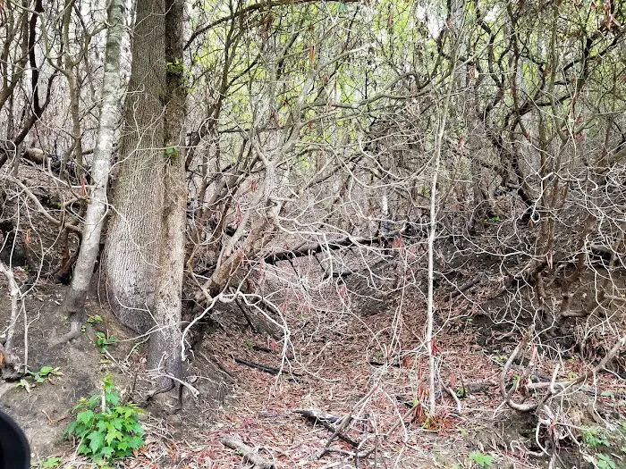 Nichols Campground 3