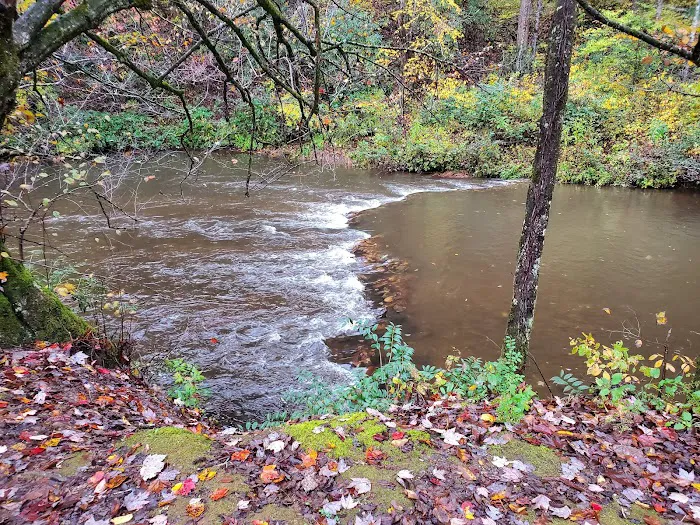 Nichols Campground 4
