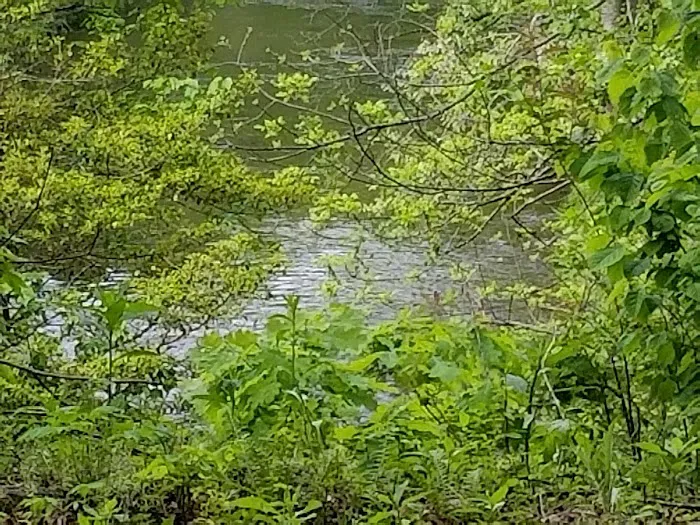 Nichols Campground 9