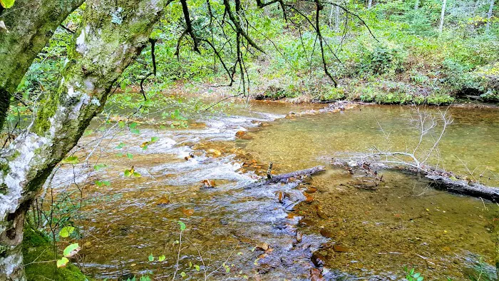 Nichols Campground 8