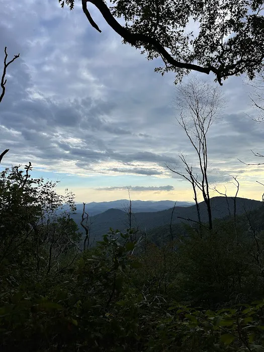 Lazy Z Campground 5