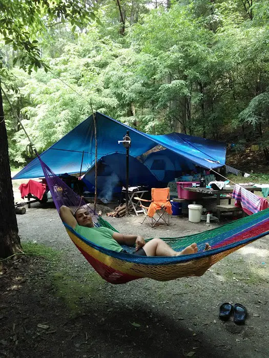Tate Branch Campground 7