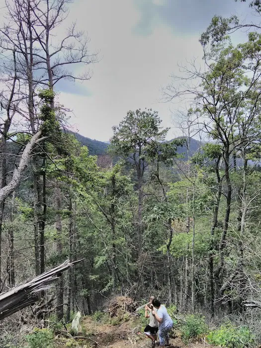 Tate Branch Campground 6