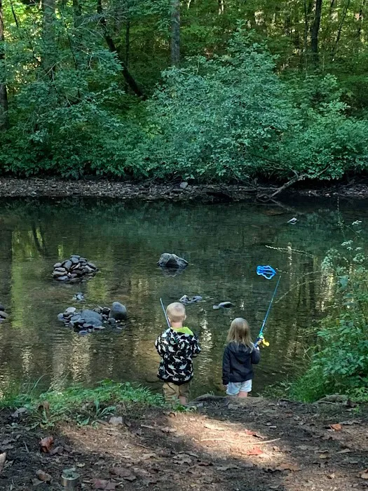 Tate Branch Campground 10