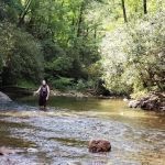 Mountain View Campground