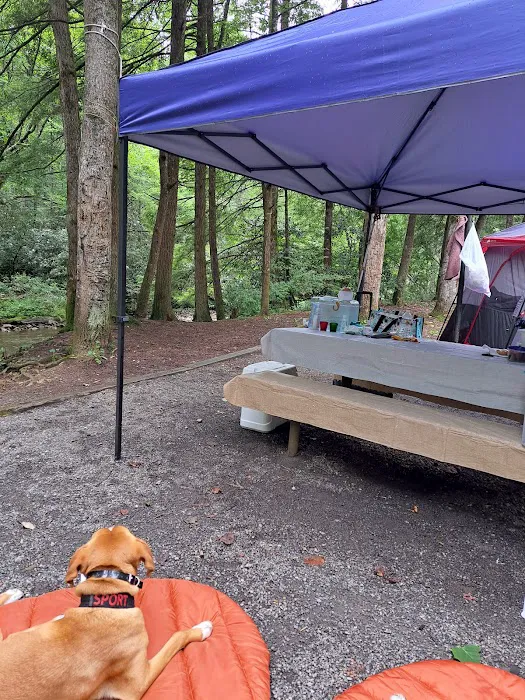 Mountain View Campground 2