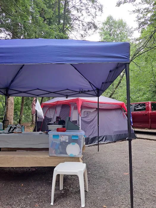 Mountain View Campground 3