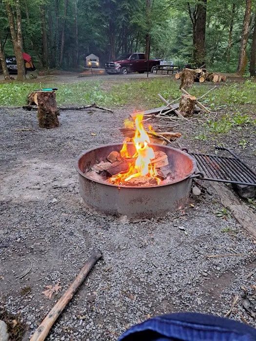 Mountain View Campground 6