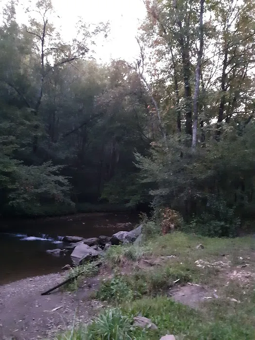 Mountain View Campground 8