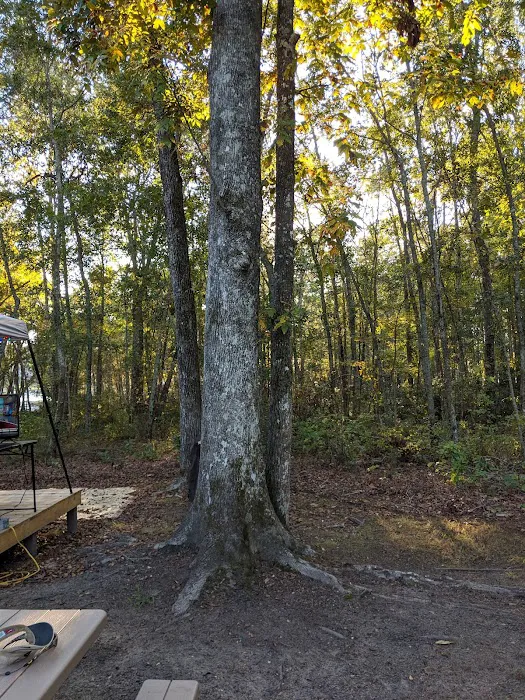 Lighthouse Pointe Family RV Park 5