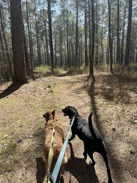 Longleaf Campground 5