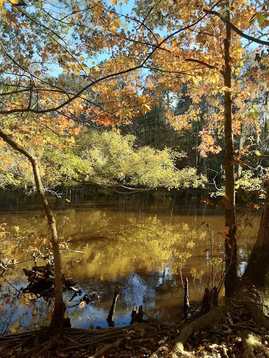 Longleaf Campground 9