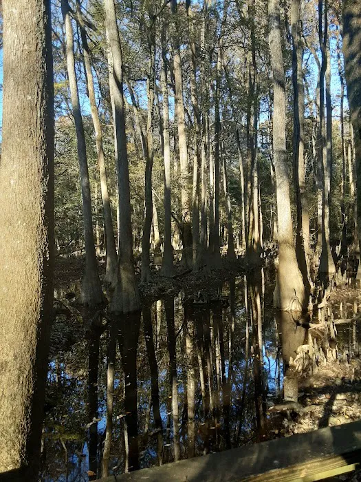 Longleaf Campground 10