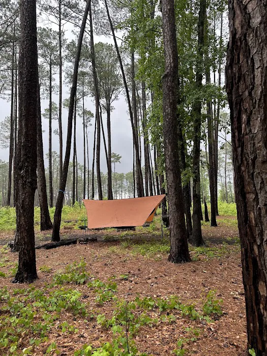 Bluff Campground 10