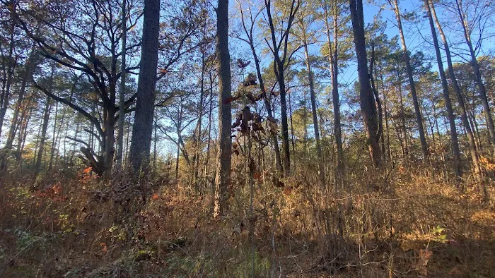 Brick House Campground 8