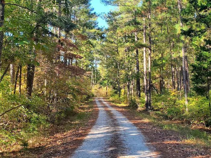 Brick House Campground 9