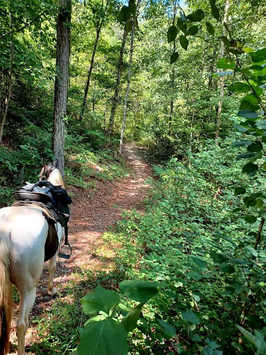 Buncombe Trailhead Parking 4