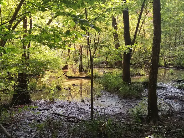 Buncombe Trailhead Parking 3