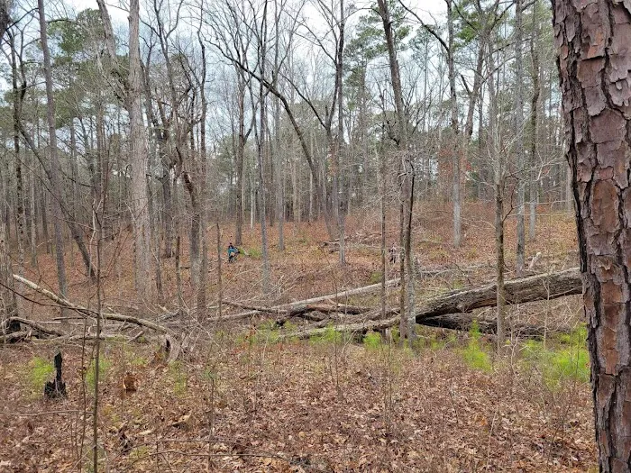 Buncombe Trailhead Parking 6