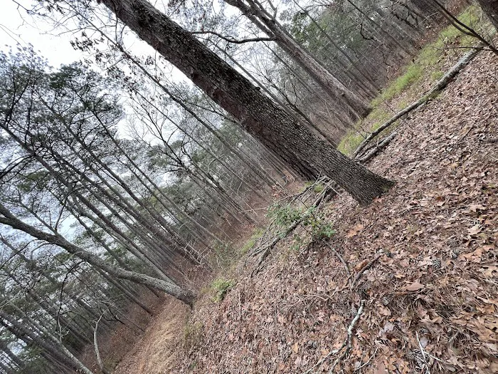Buncombe Trailhead Parking 9