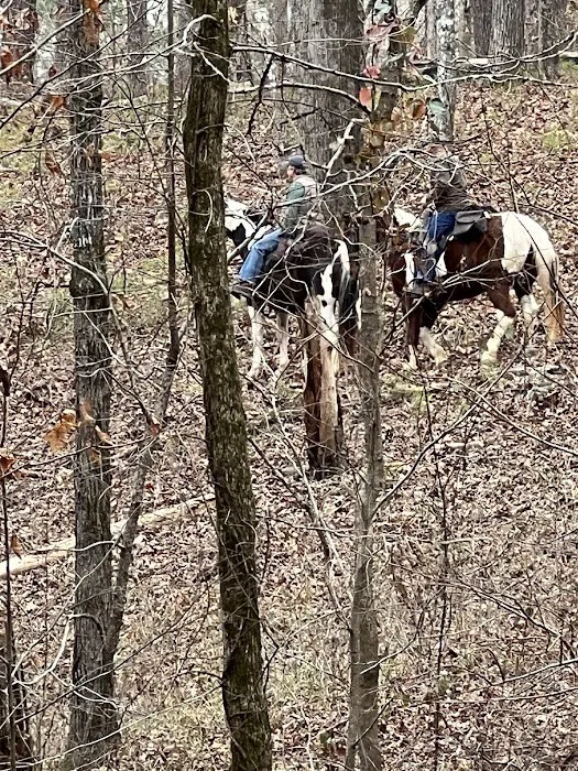 Buncombe Trailhead Parking 10