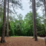 Lakeshore Family Campground