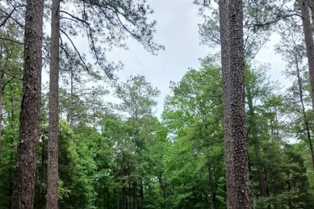 Lakeshore Family Campground