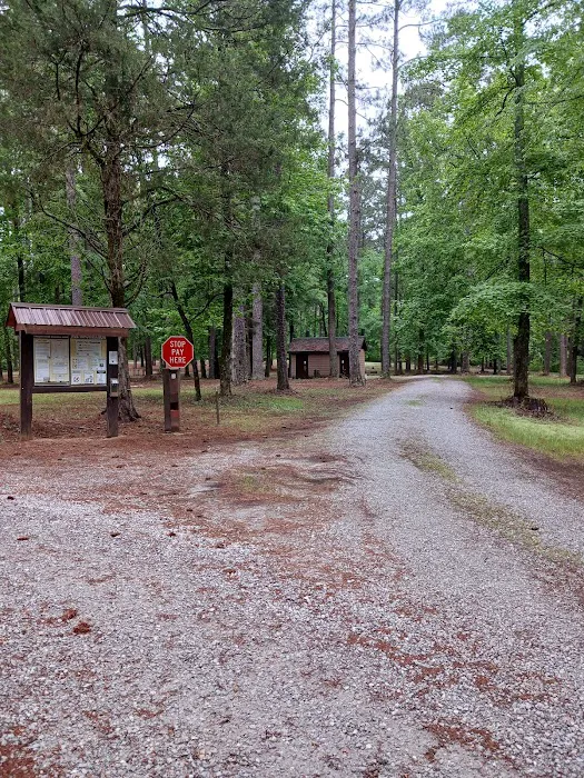 Lakeshore Family Campground 5