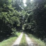 Rocky Branch Seasonal Camp