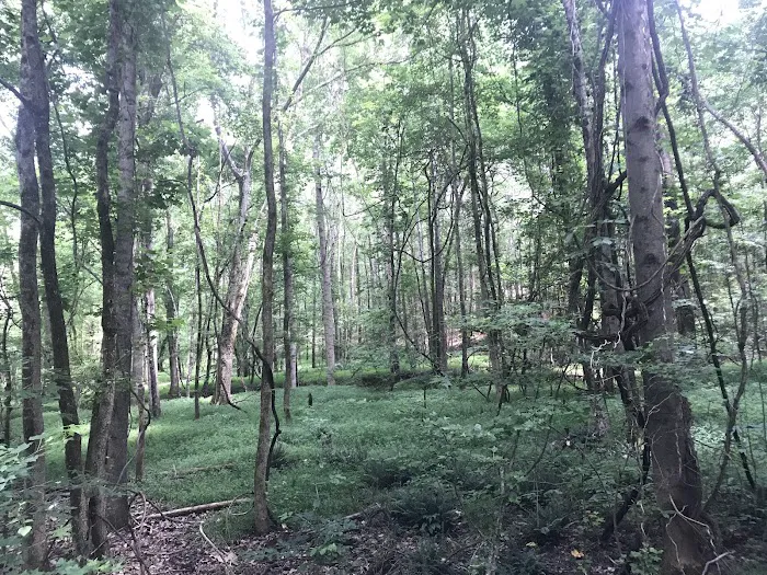 Rocky Branch Seasonal Camp 2