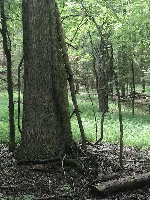 Rocky Branch Seasonal Camp 4
