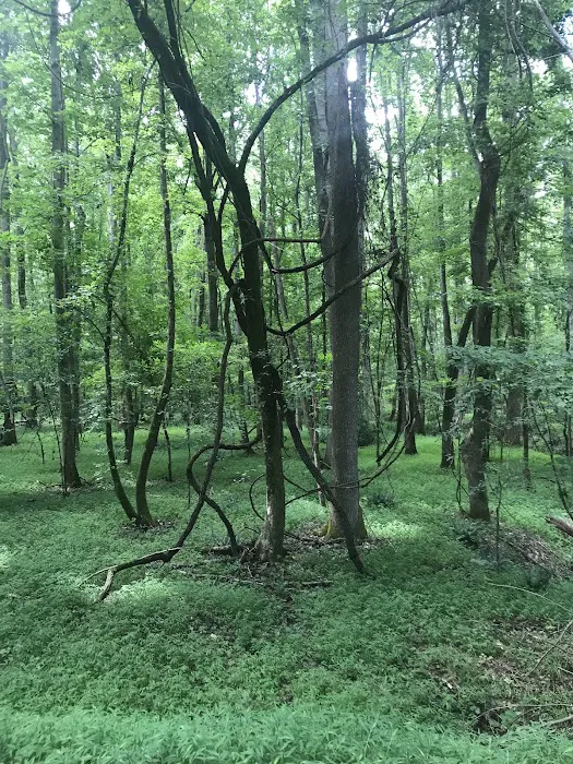 Rocky Branch Seasonal Camp 5