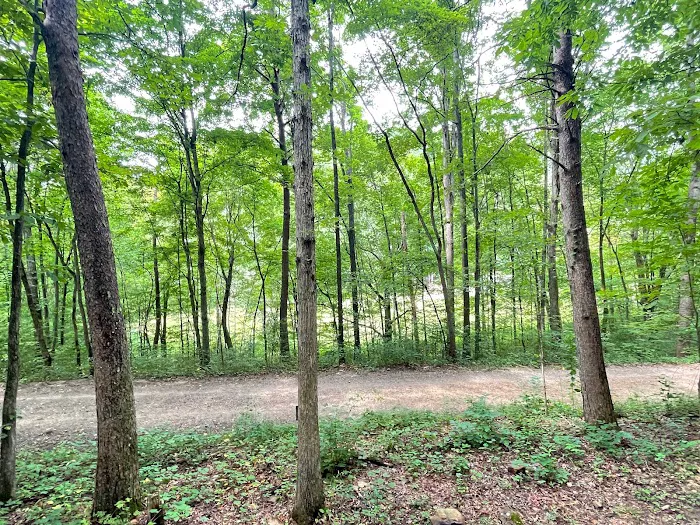Running Water Creek 5