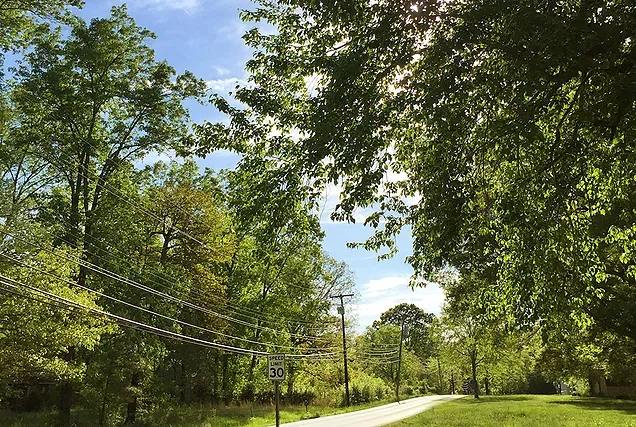 Forest Ridge 1