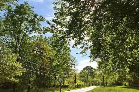 Forest Ridge