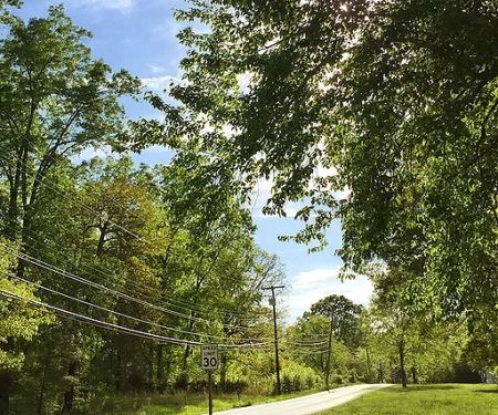 Forest Ridge