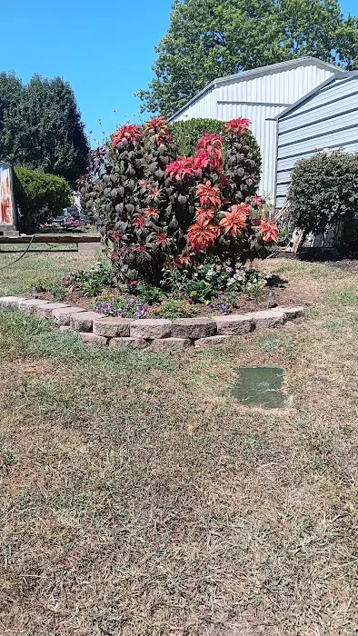 Riggs Trailer Park 2