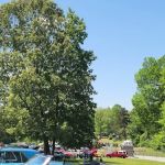 Booker T Washington Group Camp