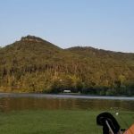 Camp Jackson Scout Reservation