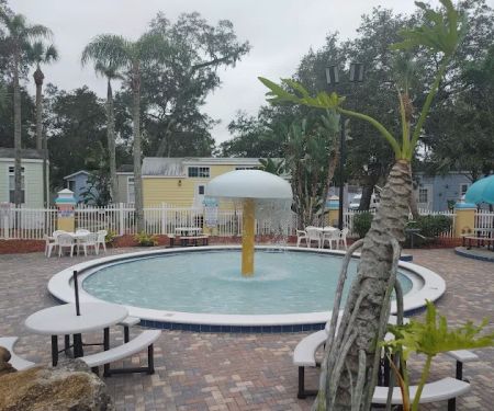Encore Tropical Palms
