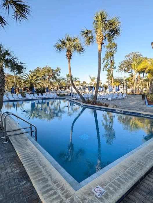 Encore Tropical Palms 9