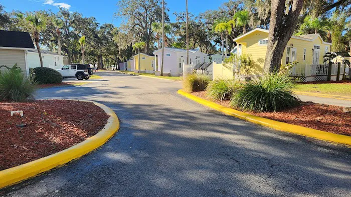 Encore Tropical Palms 7