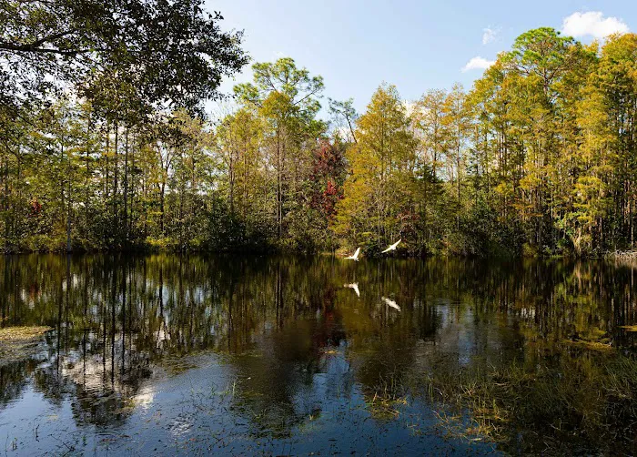 Kissimmee South 8