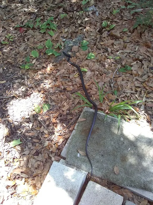 Shady Oaks Mobile Home Park 1