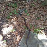 Shady Oaks Mobile Home Park