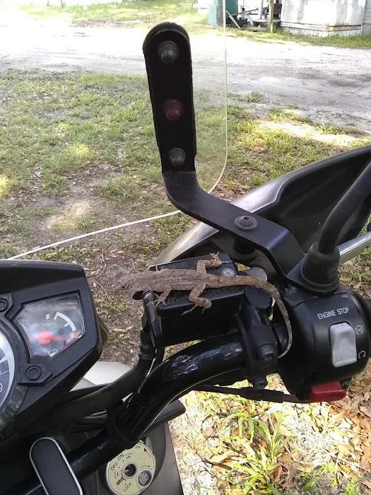 Shady Oaks Mobile Home Park 2