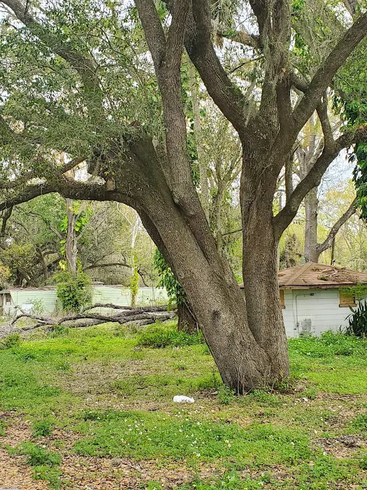 Horse Creek Village 3