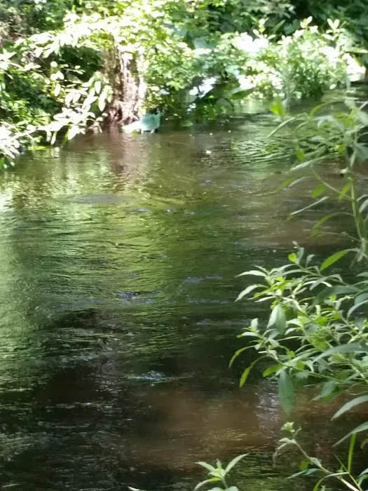 Horse Creek Village 2