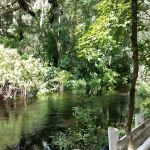 Horse Creek Village